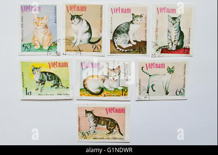 UZHGOROD, UKRAINE - ca. Mai 2016: Sammlung von Briefmarken gedruckt in Vietnam zeigt verschiedene Katzen, ca. 1979 Stockfoto