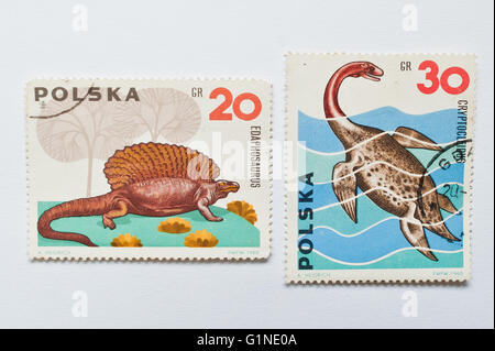 UZHGOROD, UKRAINE - ca. Mai 2016: Sammlung von Briefmarken gedruckt in Polen zeigt Dinosaurier, ca. 1965 Stockfoto