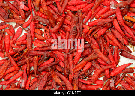 Getrocknete Paprika zum Kochen, Thai Food-Stil. Stockfoto