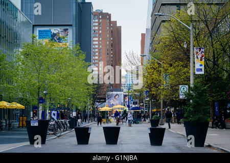 Gould Street, an der Ryerson Universität in Toronto, Ontario. Stockfoto