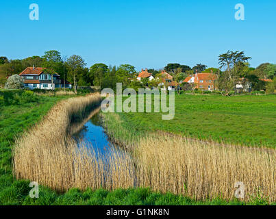 Schilfbeetes in Walberswick, Suffolk, England UK Stockfoto