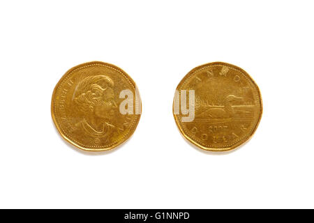 Vorder- und Rückseite einer kanadischen 1 Dollar Münze vor weißem Hintergrund fotografiert. Stockfoto