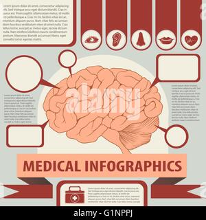 Medizinische Infografiken mit Gehirn und Text illustration Stock Vektor