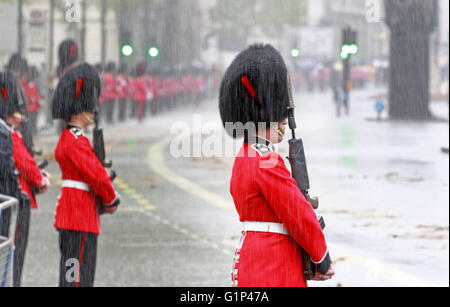 London, UK. 18. Mai 2016. Ein Coldstream Guard im strömenden Regen auf Whitehall bei der Parlamentseröffnung, in London.  Bildnachweis: Paul Marriott/Alamy Live-Nachrichten Stockfoto