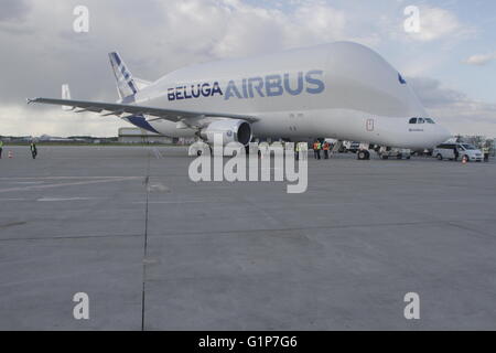 Bukarest, Rumänien. 18. Mai 2016. Airbus A300-600ST (Super Transporter), Beluga, wird für die erste Landung auf Henri Coanda International Airport von Bukarest begrüßt. Bildnachweis: Gabriel Petrescu/Alamy Live-Nachrichten Stockfoto