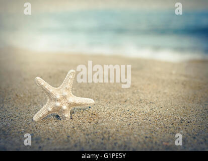 Seestern am Strand unter der Sonne. Getönten Foto. Stockfoto