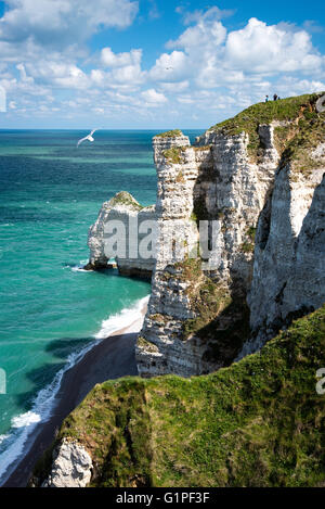 Falaise d'Amont Klippe und Porte d'Amont natürlichen Bogen von Etretat, Alabaster Küste, Normandie Stockfoto