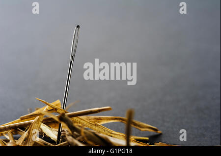 Auf der Suche nach verlorenen Nadel im Heuhaufen. Die Suche. Verloren und gefunden. Stockfoto