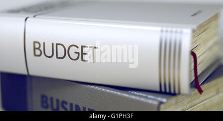 Budget - Business Buchtitel. Stockfoto