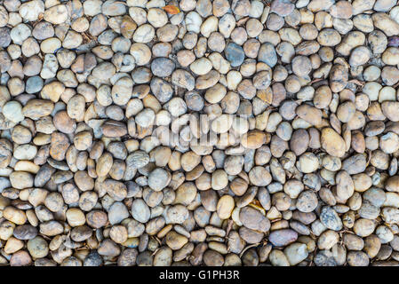 kleinen Steinboden Stockfoto