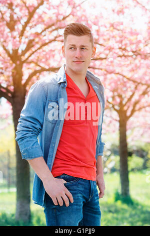 Porträt von gutaussehenden Mann vor Kirschblüte Stockfoto