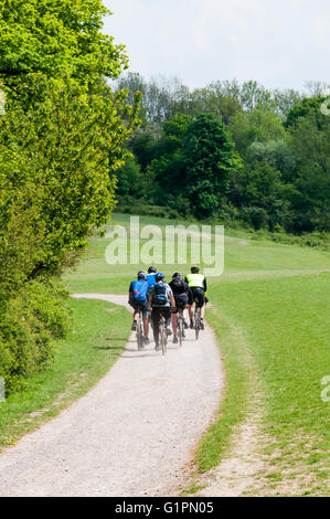 Radfahrer auf der North Downs Way und Pilger der Weg überqueren Colley Hügel oberhalb Reigate.  Reisen nach Osten. Stockfoto