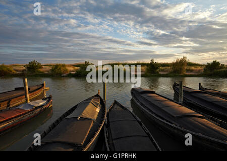 Hafen von Catarroja. L ' Albufera Naturpark. Valencia. Stockfoto