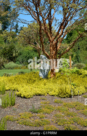 Skulptur in Sir Harold hügeliger Gärten in Romsey England uk Stockfoto