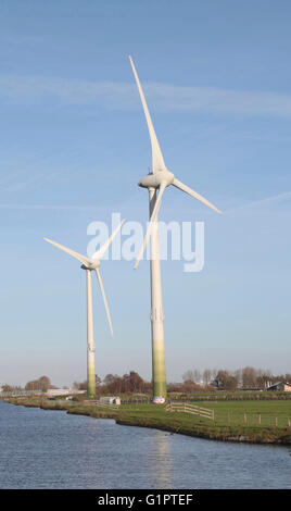 Zwei Windmühlen in einer holländischen Landschaft Stockfoto