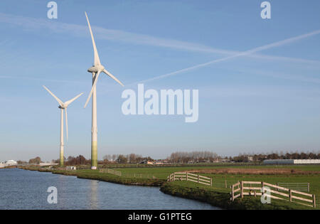 Zwei Windmühlen in einer holländischen Landschaft Stockfoto