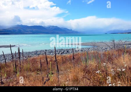 Türkisfarbene Wasser des Sees Pukaki mit Wolken über die Berge in der Ferne und grasigen Wildblumen am Ufer. Stockfoto
