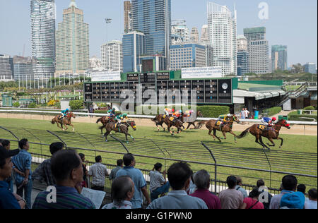 Pferderennen im Royal Bangkok Sportclub in Bangkok Thailand Stockfoto