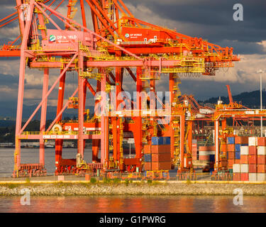 Abends Blick auf Container-Terminals auf Vancouver Südufer in Coal Harbour, Vancouver, BC, Kanada Stockfoto