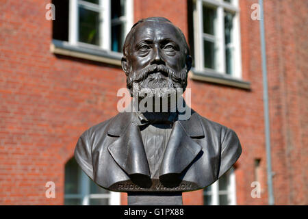 Bueste Rudolf Virchow, Charite, Berlin, Deutschland / Büste Stockfoto