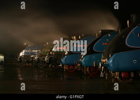 Die große Versammlung Shildon Februar 2014 Stockfoto