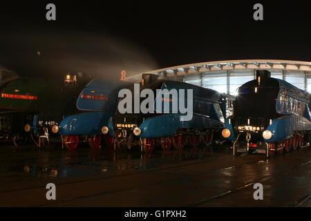 Die große Versammlung Shildon Februar 2014 Stockfoto