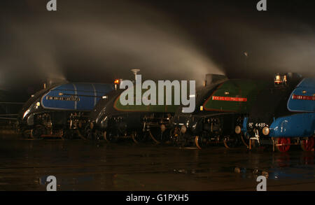 Die große Versammlung Shildon Februar 2014 Stockfoto