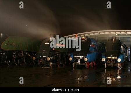 Die große Versammlung Shildon Februar 2014 Stockfoto