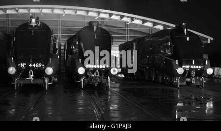 Die große Versammlung Shildon Februar 2014 Stockfoto