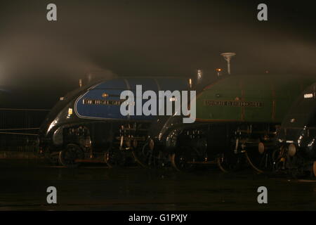 Die große Versammlung Shildon Februar 2014 Stockfoto