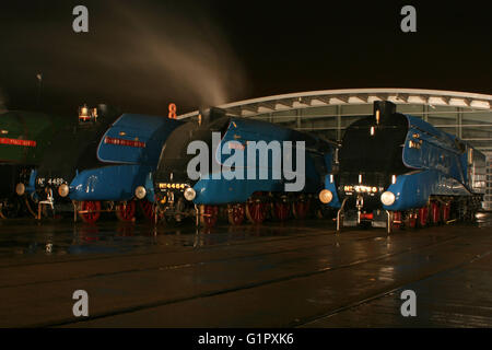 Die große Versammlung Shildon Februar 2014 Stockfoto