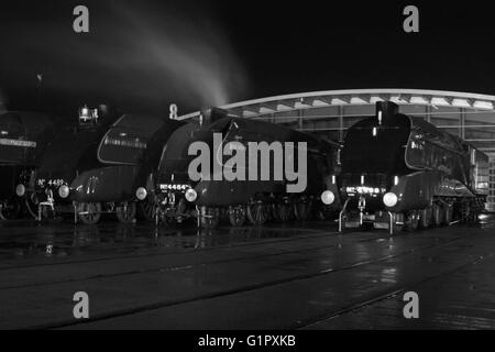 Die große Versammlung Shildon Februar 2014 Stockfoto