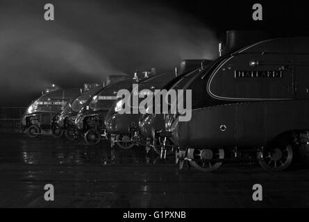 Die große Versammlung zur Fortbewegung Shildon Februar 2014 in schwarz / weiß Stockfoto