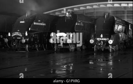 Die große Versammlung zur Fortbewegung Shildon Februar 2014 in schwarz / weiß Stockfoto