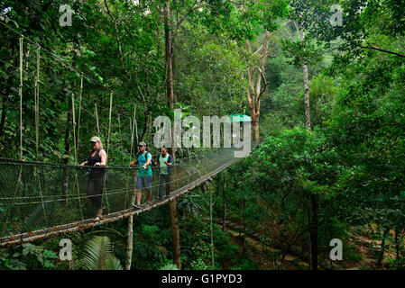 Skywalk, Hängebrücke, Taman Negara Nationalpark, Penang, Malaysia Stockfoto