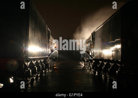 Stockente und Rohrdommel stehen nebeneinander auf der großen Runde zur Fortbewegung Shildon Februar 2014 Stockfoto