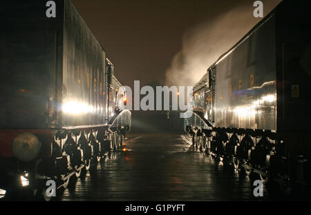 Stockente und Rohrdommel stehen nebeneinander auf der großen Runde zur Fortbewegung Shildon Februar 2014 Stockfoto