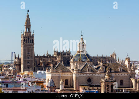 Kathedrale von Sevilla und Iglesia De La Anunciación, gesehen von der Suche des Metropol Parasol Gebäude Stockfoto
