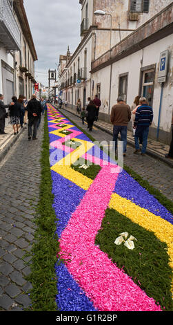 Floral Pfad für das Santo Cristo Dos Milagres Festas (Herr Holy Christus Wunder Festival), Ponta Delgada, Azoren, Portugal Stockfoto