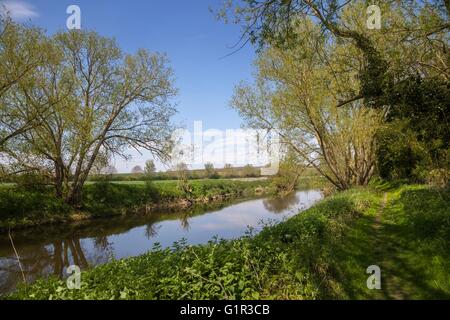 Fluß Avon, Warwickshire, England Stockfoto