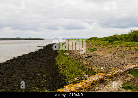 Ufer des Flusses Swale bei niedrigem Wasserstand Stockfoto