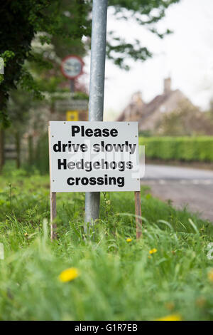 Bitte fahren Sie langsam Igel Kreuzung Anmelden das cotswold Dorf Taynton. Cotswolds, Oxfordshire, England Stockfoto