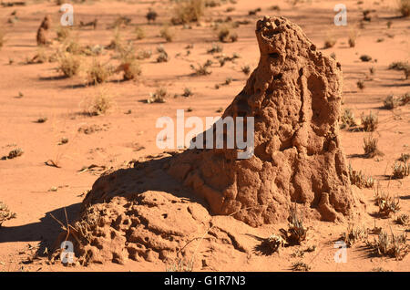 Seltsame Pyramide geformt Termite Hügel gebaut aus roter Erde im Outback Australien Stockfoto