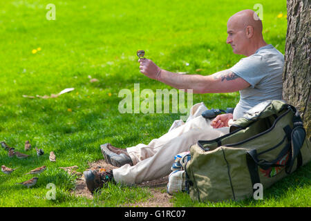 7. Mai 2016 - Niagara Falls, Ontario. Ein Mann ernährt Frühling Nachmittag Vögel aus seiner Hand. Stockfoto