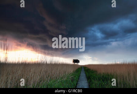 hölzerne Pfad zum Aussichtsturm bei Sturm und Dusche mit dramatischer Himmel Stockfoto