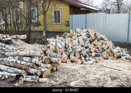 Haufen von Birke Protokolle auf dem Boden liegend Stockfoto