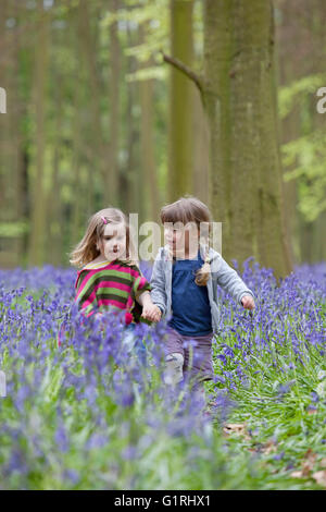 glückliche Kleinkinder zu Fuß durch Wald Glockenblume Stockfoto