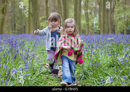 glückliche Kleinkinder zu Fuß durch Wald Glockenblume Stockfoto