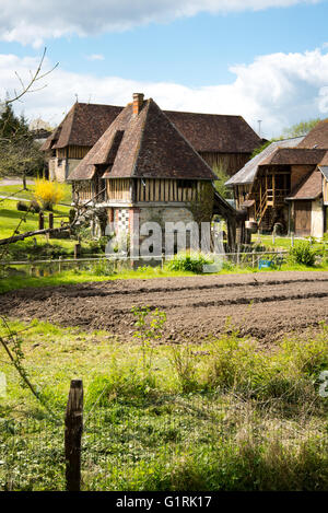 Mosterei in Pays d ' Auge, Normandie, Frankreich Stockfoto