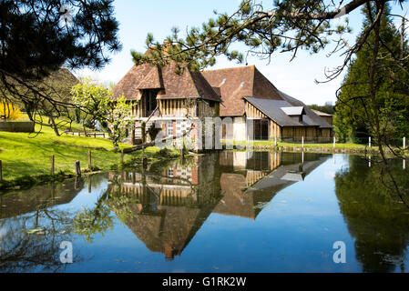 Mosterei in Pays d ' Auge, Normandie, Frankreich Stockfoto